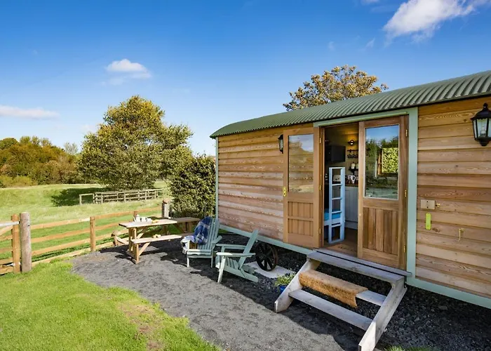 Teasel Shepherd\'S Hut