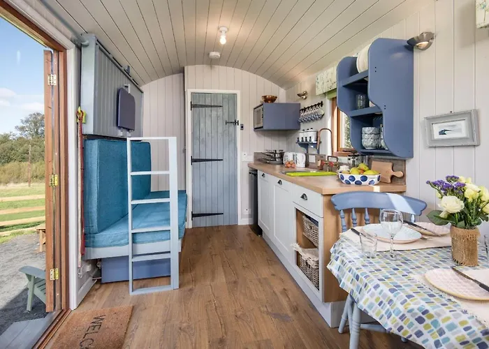 Teasel Shepherd\'S Hut