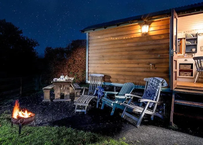 Teasel Shepherd\'S Hut