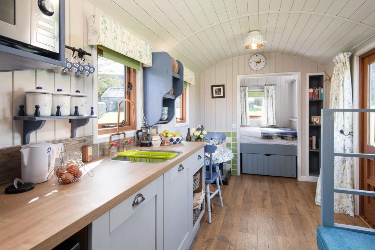 Teasel Shepherd's Hut
