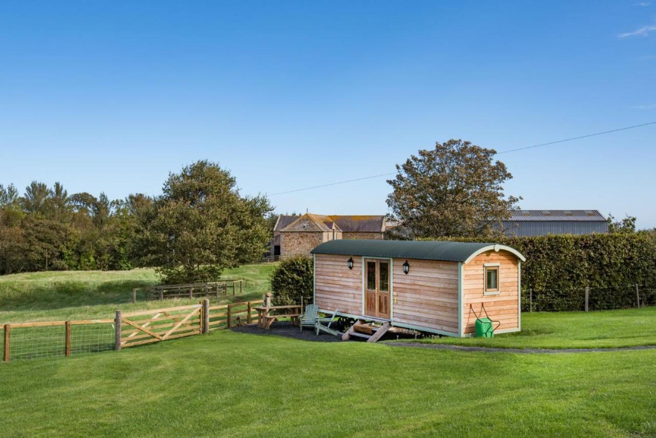 Teasel Shepherd's Hut *